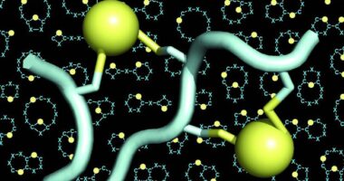 mutated c1 inhibitor