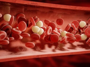 blood vessel function, angioedema