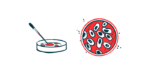 Cells are shown in a petri dish.