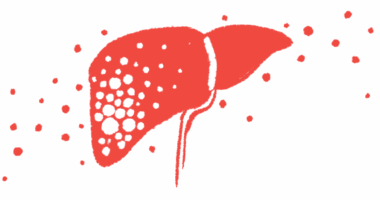 An illustration provides a close-up view of the human liver.
